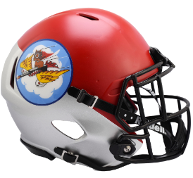 Air Force Falcons NCAA Mini Speed Tuskegee 301st