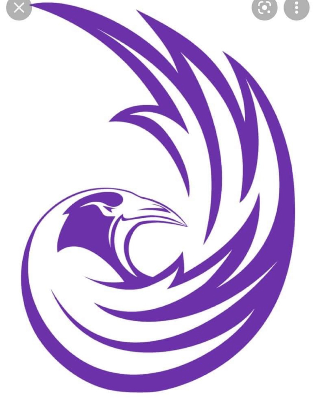 Ravens Chrome Purple Award Decals