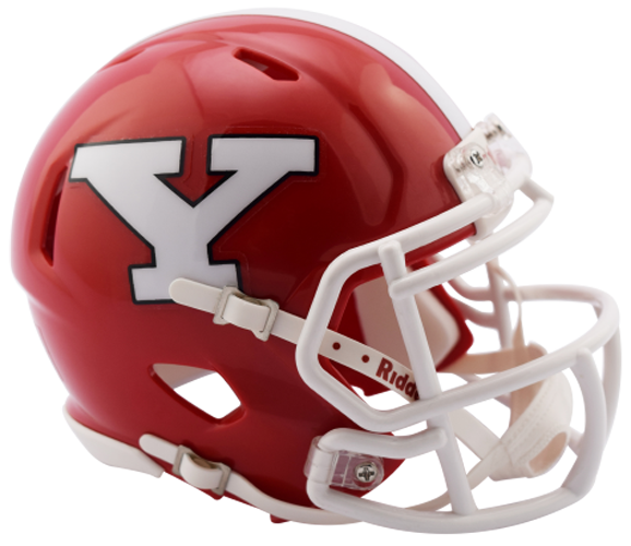 Youngstown State Penguins NCAA Mini Speed 2017